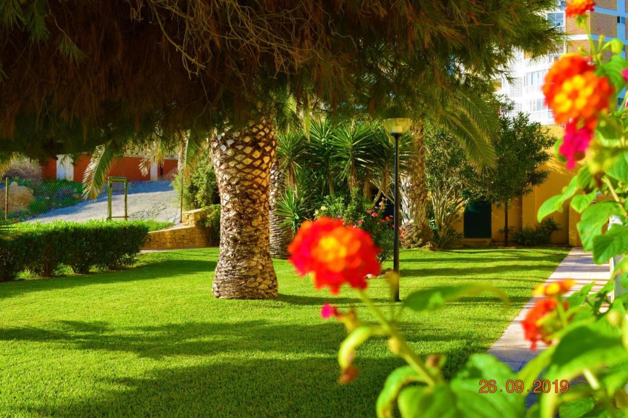 Bungalo En Primera Linea De La Playa El Campello Buitenkant foto
