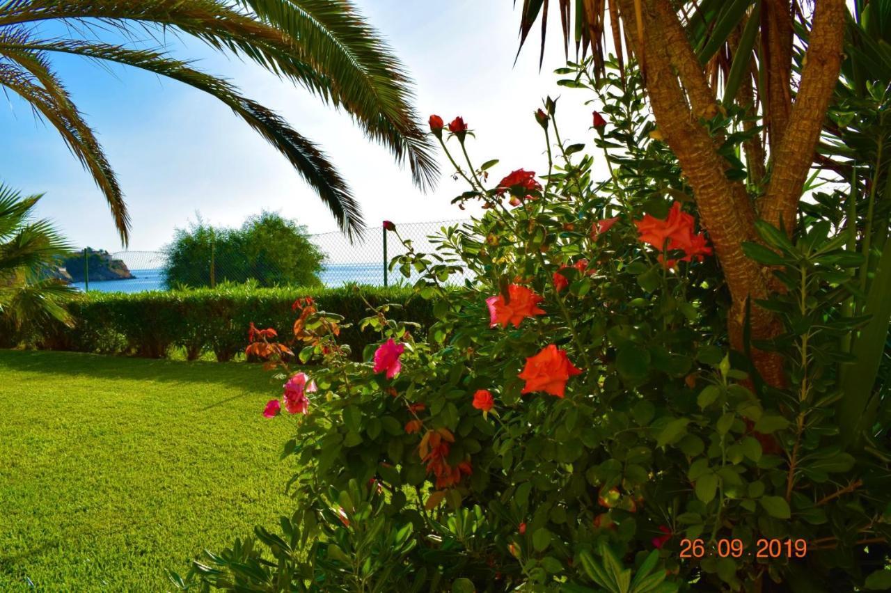 Bungalo En Primera Linea De La Playa El Campello Buitenkant foto